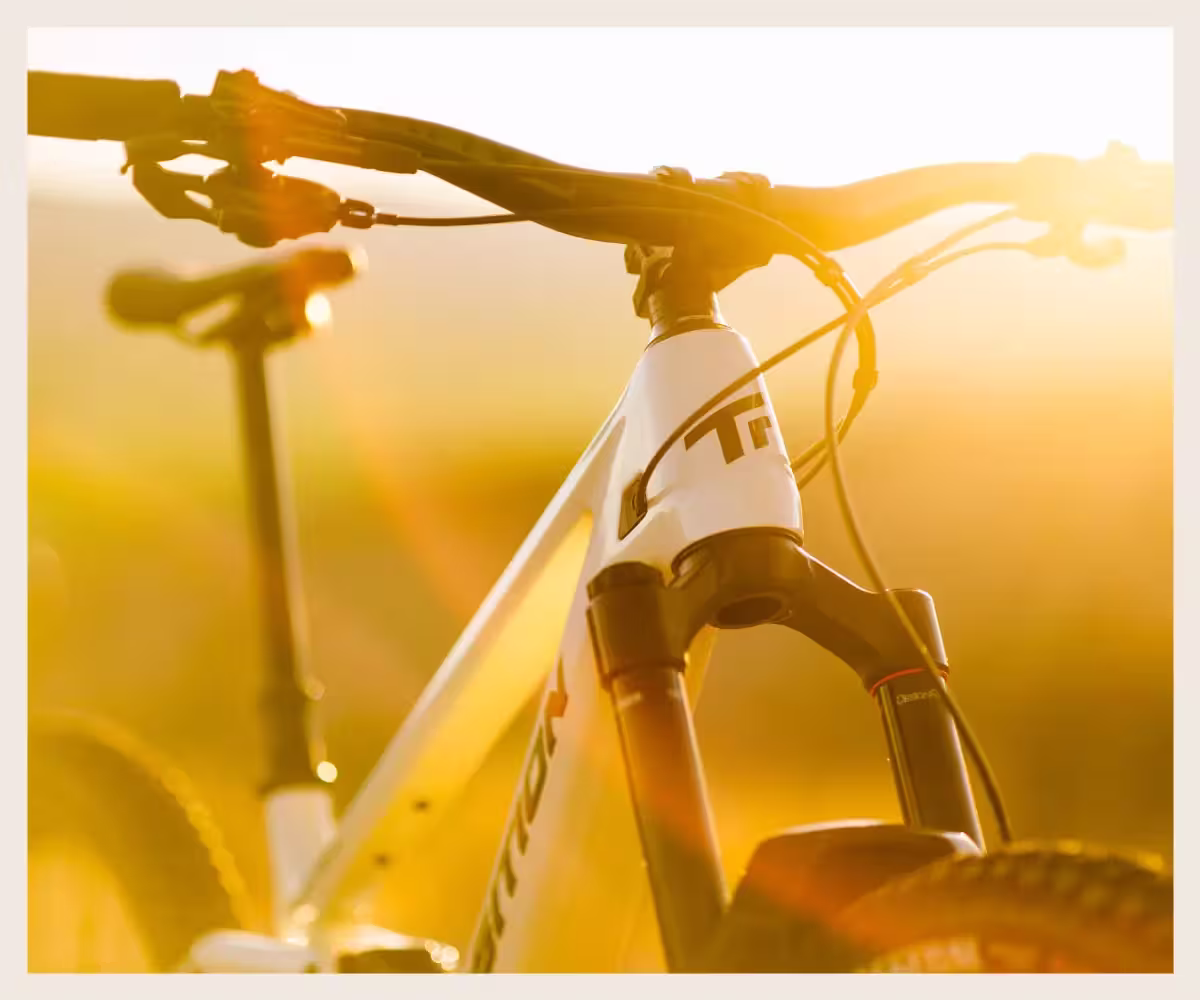 Sentinel Refining the Legend